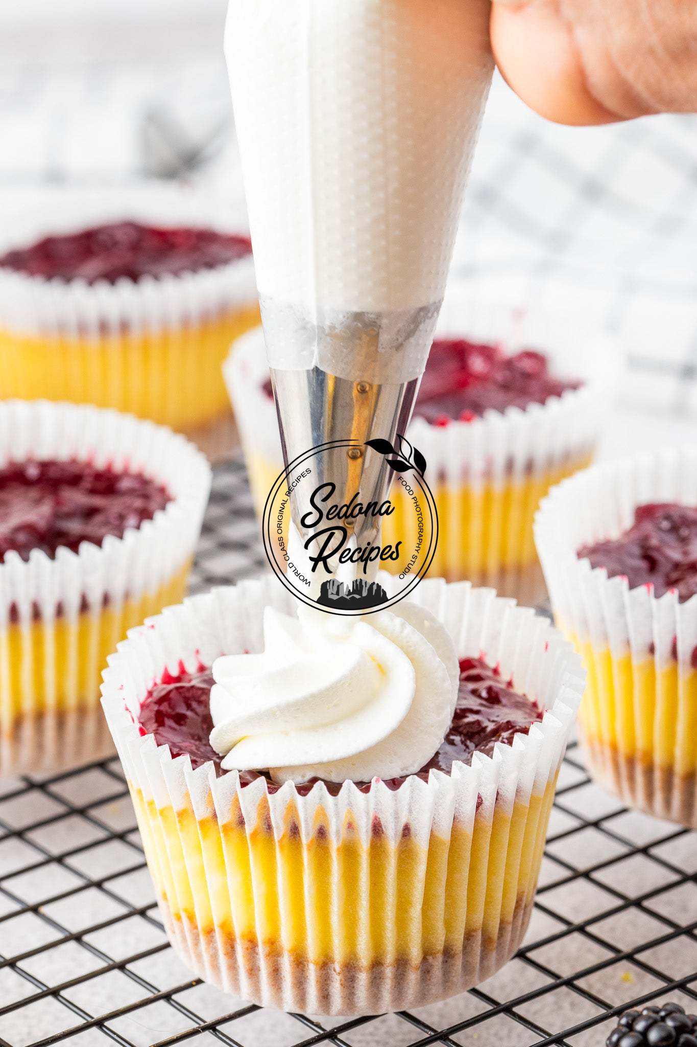 Mini Blackberry Cheesecakes