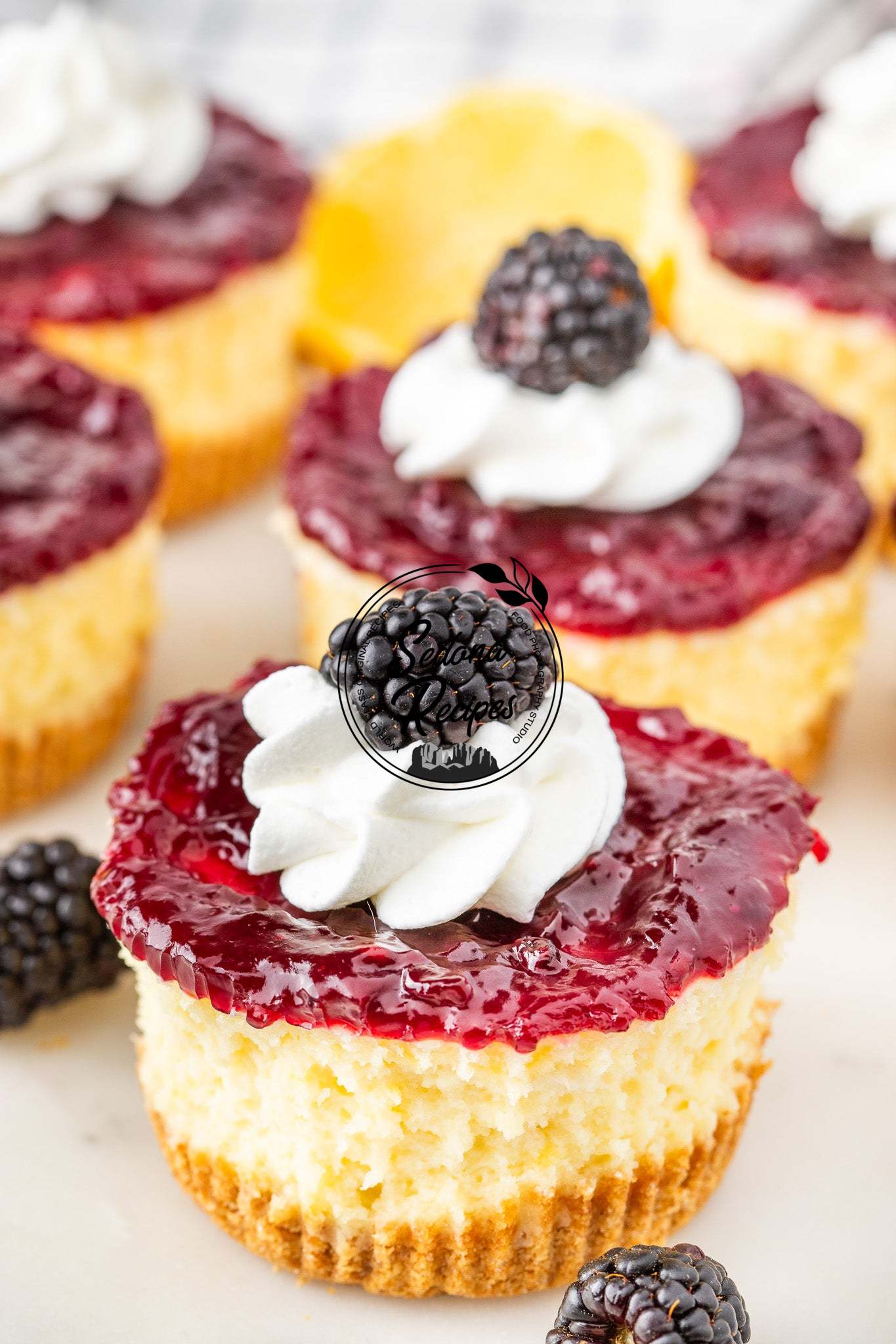 Mini Blackberry Cheesecakes