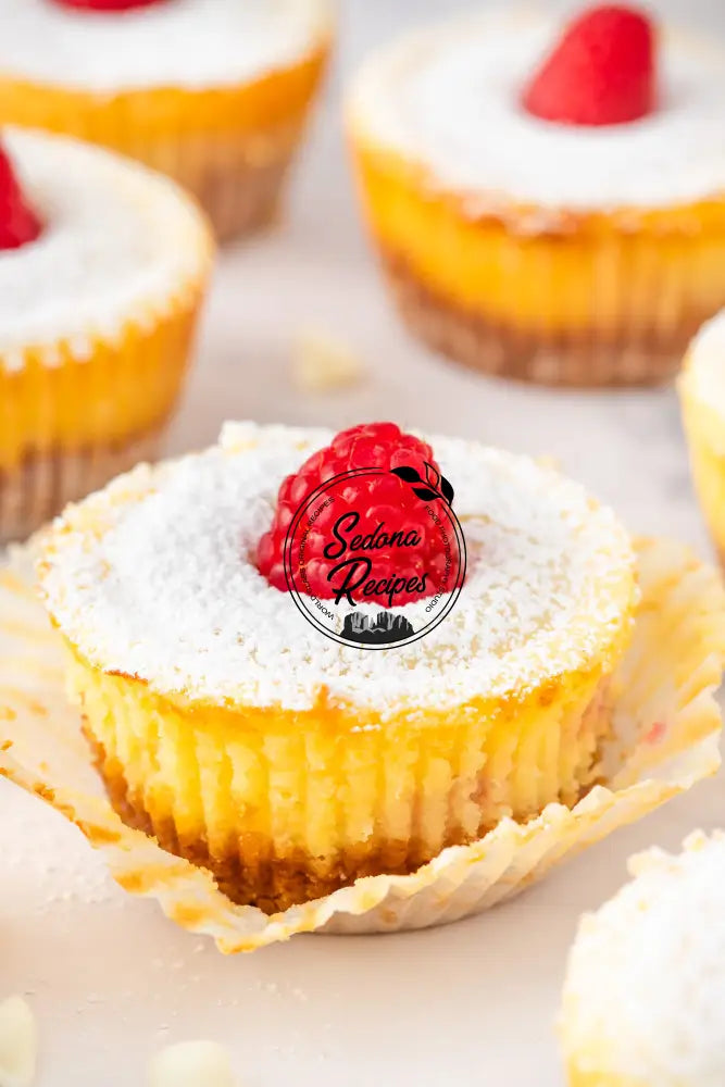 Raspberry Swirl Mini Cheesecakes