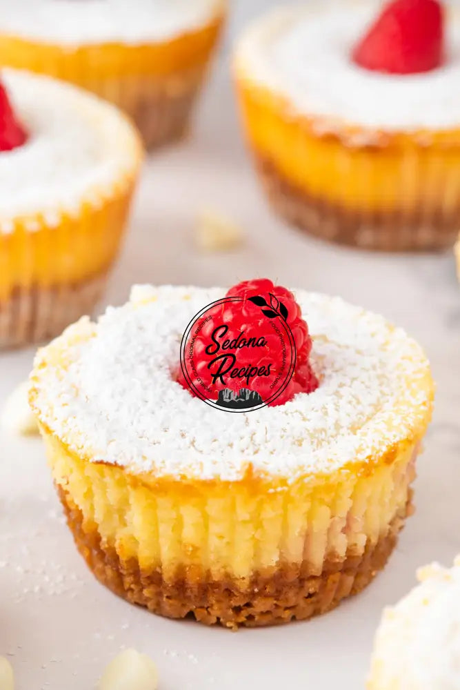 Raspberry Swirl Mini Cheesecakes